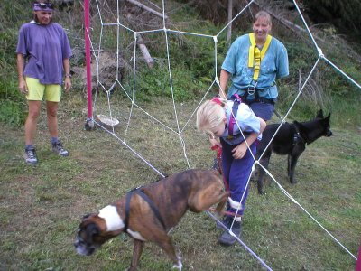 DogWalkTrail hondenvakantie ervaringen Oostenrijk 2003 zomer