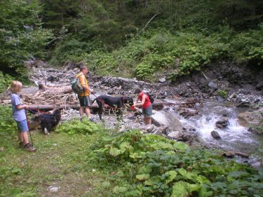 DogWalkTrail hondenvakantie ervaringen Oostenrijk 2002 zomer